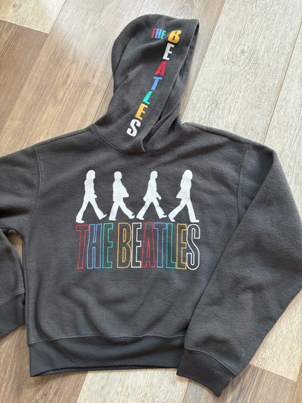 The Beatles Black Hoodie with Multicolor Logo and Abbey Road Silhouettes